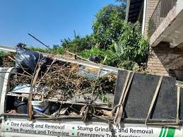 Best Furniture Removal  in Bunker Hl, IL